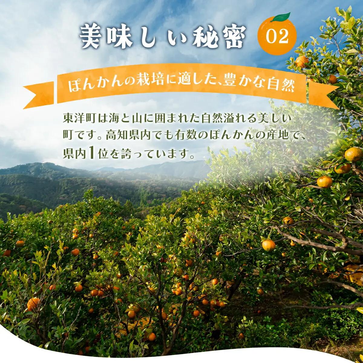 完熟ぽんかん＜5kg＞【株式会社フクチャンFARM】