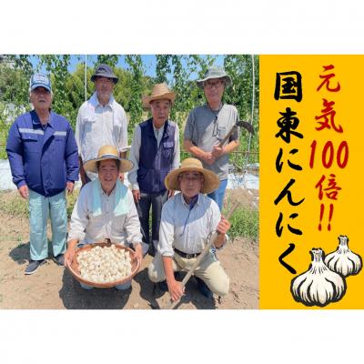 ふるさと納税 国東市 【先行受付】【訳あり】国東産乾燥にんにく/バラ0.8kg/こだわり減農薬栽培_2611R