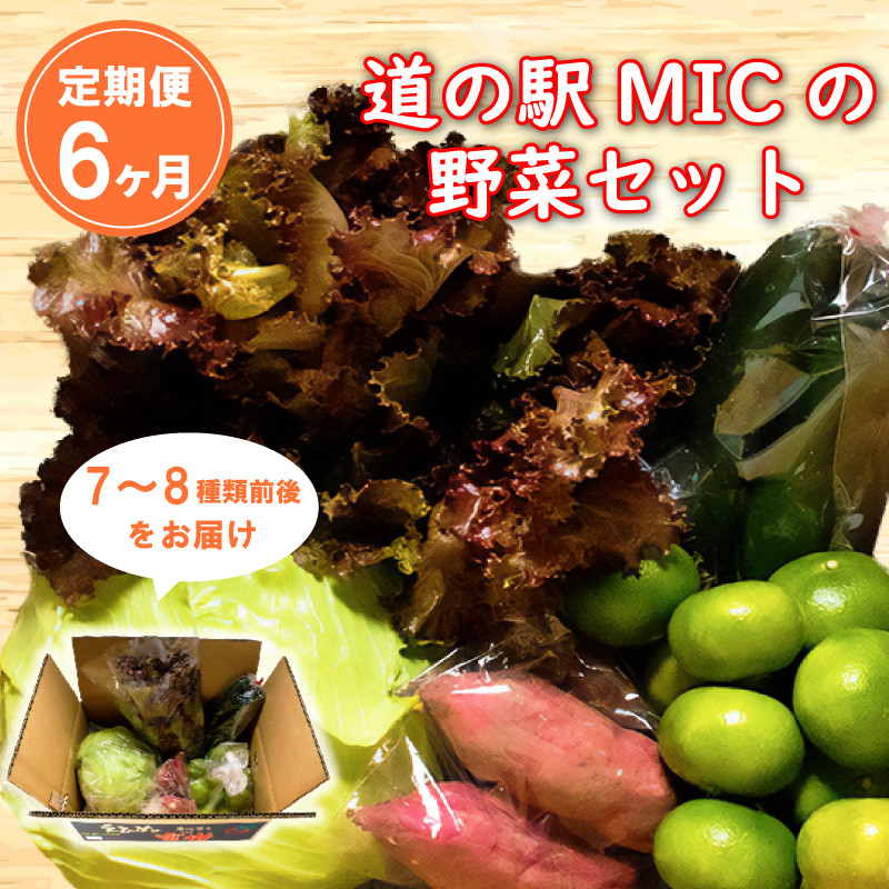 
定期便 6回 旬の野菜セット 7～8種類前後 野菜 サラダ 新鮮 葉物 根菜 香味 定番野菜 愛媛 愛南
