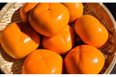 【秋の味覚】和歌山産のたねなし柿2L～4Lサイズ約4kg（化粧箱入り）※2025年10月上旬～2025年11月上旬頃順次発送【tec409A】
