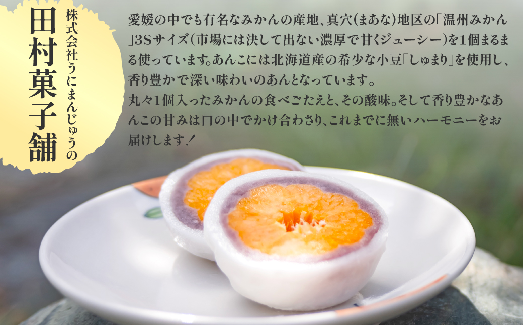 八寿みかん大福6個セット  IKTK006
