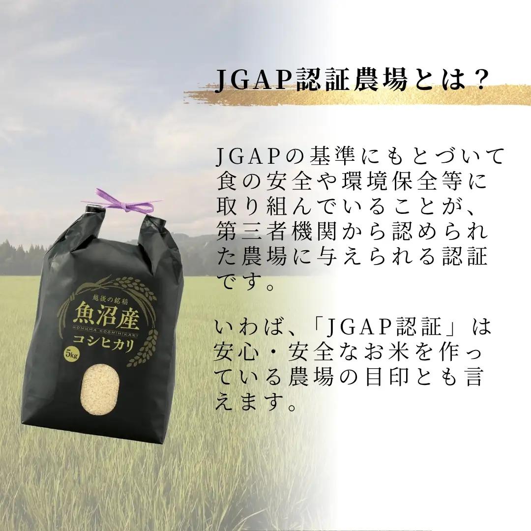 魚沼産コシヒカリ 精米10kg うちがまき絆 | 新潟県 魚沼 令和7年