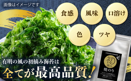 【全2回定期便】初摘み海苔 焼のり贅沢10袋セットF 計20袋（10袋×2回） / 海苔 / 有明の風 [41AACO011]