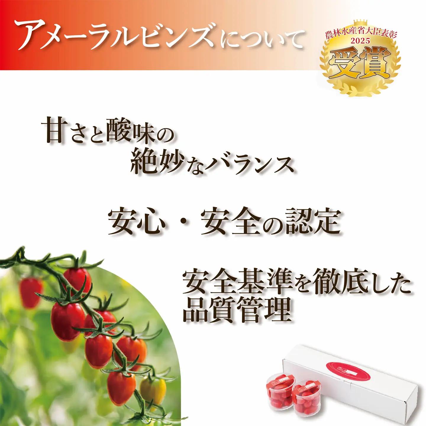 ミニトマト アメーラルビンズ 約60g×5P トマト
