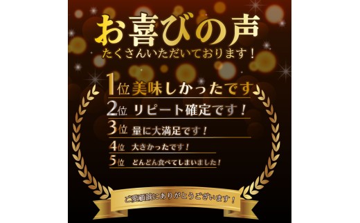 【3月発送/指定日対応】 きらぴ香 2000g以上 いちご 1000g×2パック イチゴ 冷蔵発送 苺 2kg 土耕栽培 フルーツ 果物 スイーツ デザート朝摘み ストロベリー おやつ 完熟 直送 ギ