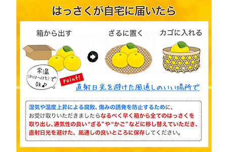 秀品 紀の川の八朔 約5kg Mサイズ 厳選 はっさく 柑橘《1月中旬-2月下旬頃出荷》 紀の川市厳選館 和歌山県 紀の川市 フルーツ 果物