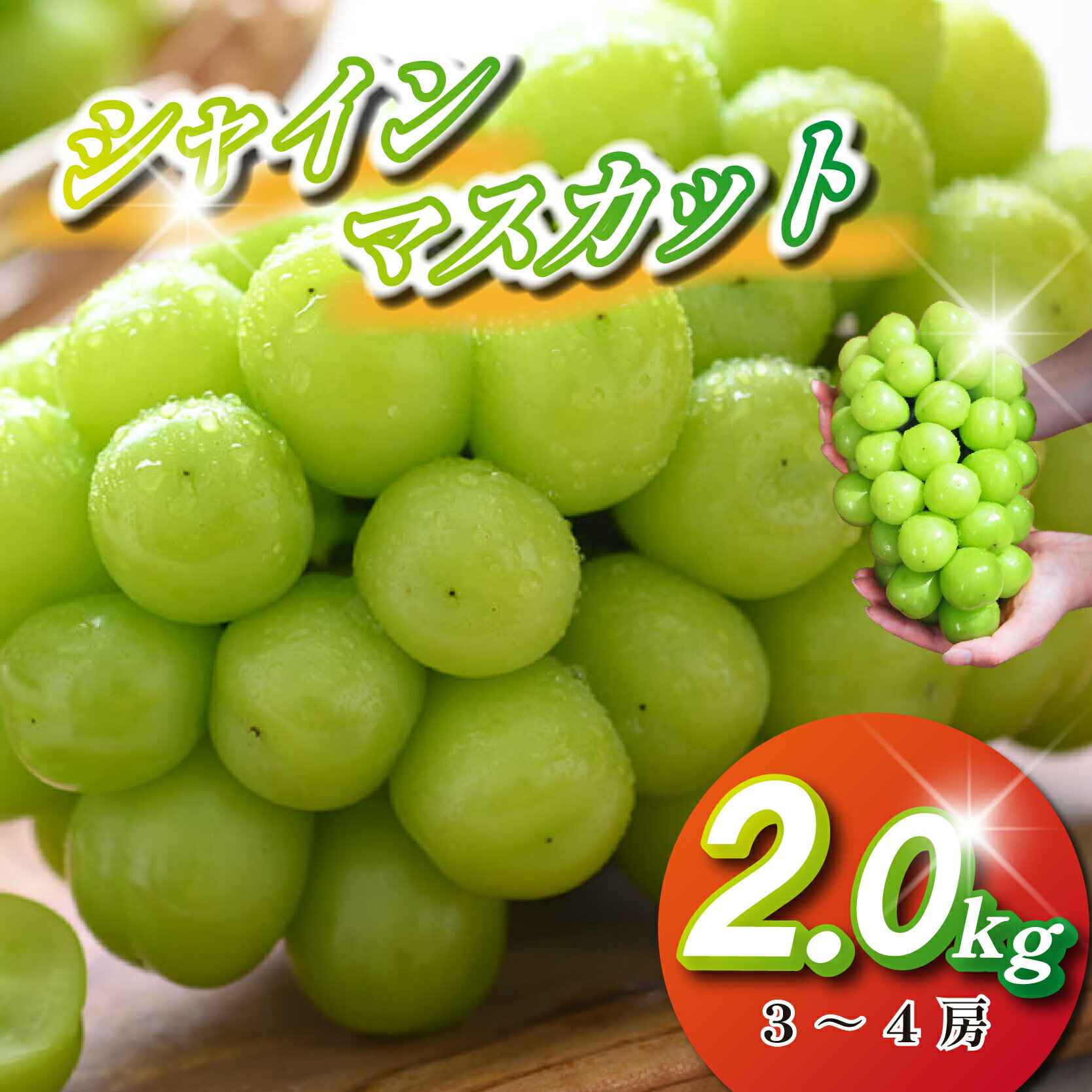 【ふるさと納税】【2026年発送 先行予約】シャインマスカット 2kg程度（3～4房 ぶどう ブドウ マスカット フルーツ 果物 先行受付 数量限定）