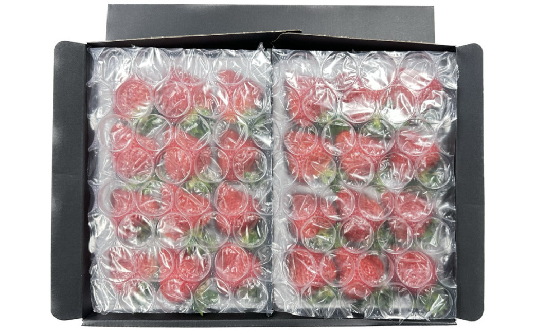 ギフト配送 福岡県産あまおう EX 約450g×2パック 〈特別栽培〉 【2026年1月上旬～3月下旬発送予定】