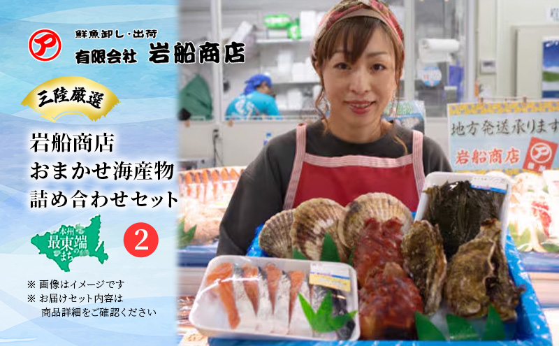 【三陸厳選】岩船商店おまかせ海産物詰め合わせセット（2）岩手県宮古市 海の幸 旬の魚 詰め合わせ