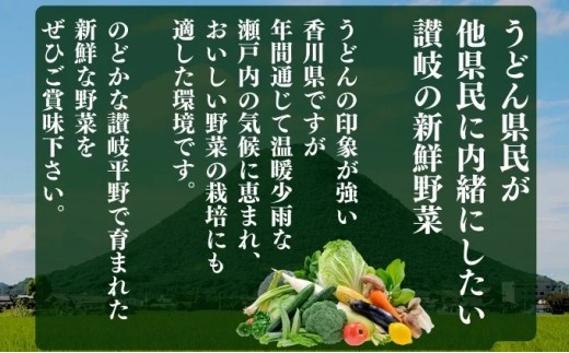 【9月末まで】 アスパラガス さぬきのめざめ 夏芽 1kg アスパラ グリーンアスパラ 野菜 やさい 旬 旬の野菜 季節の野菜 産地直送 香川 香川県 丸亀 丸亀市 冷蔵 冷蔵配送 疲労回復 免疫力向