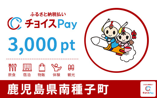 
            南種子町チョイスPay 3,000pt【会員限定のお礼の品】
          