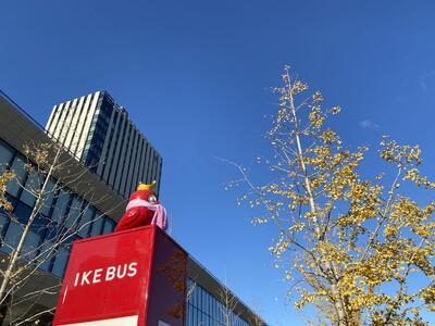 IKEBUS1日乗車券（大人）&シールセット（1）