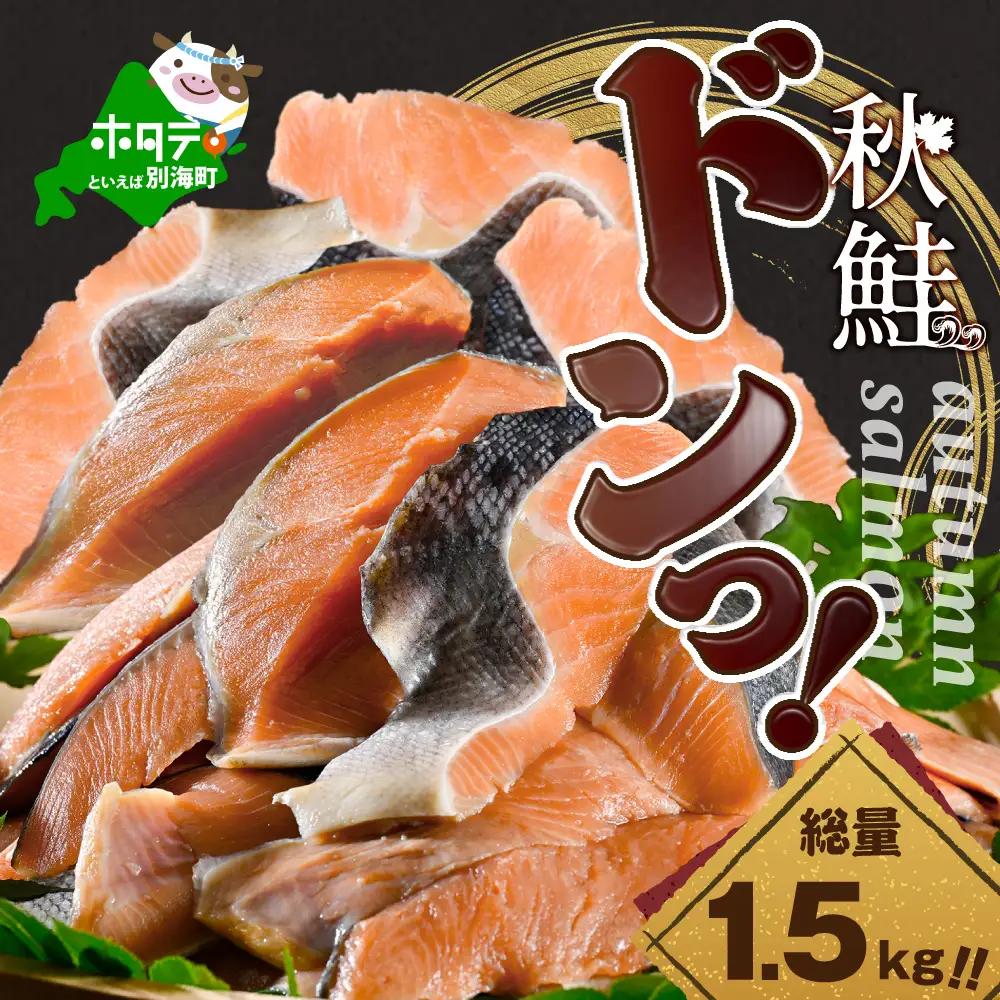 【訳あり】秋鮭ドンっ！無塩 秋鮭 切り身 1.5kg【KN000PB06】北海道