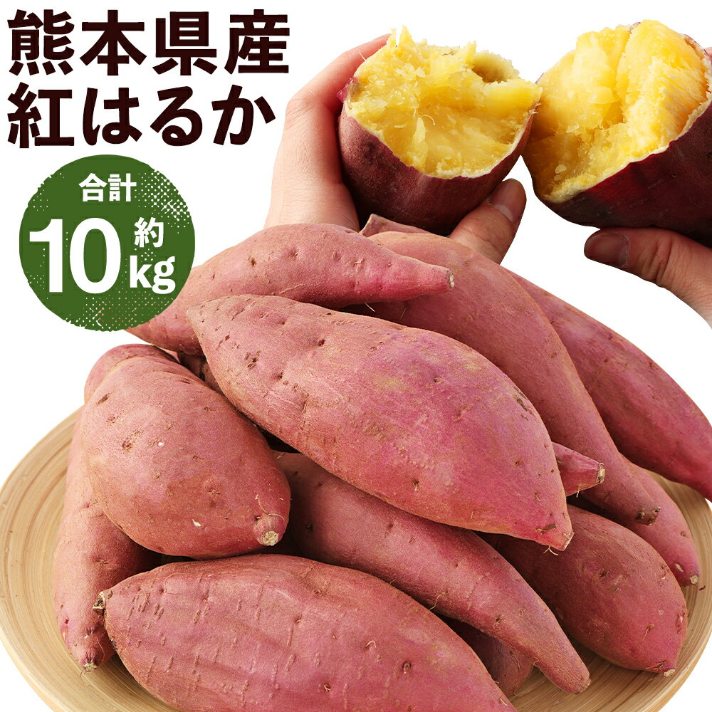 【ふるさと納税】熊本産 紅はるか 約10kg さつまいも 蜜芋 芋 益城町産 熊本県産 九州産 送料無料【2026年3月下旬まで発送予定】