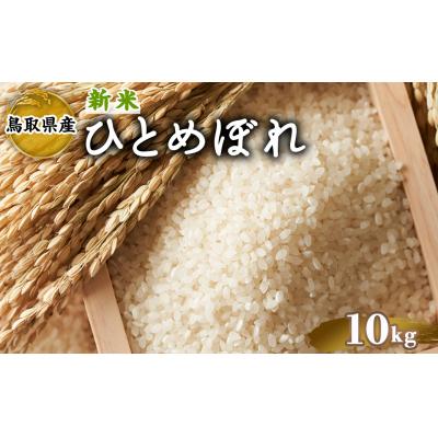 ふるさと納税 境港市 令和7年産新米鳥取県産ひとめぼれ(10kg)