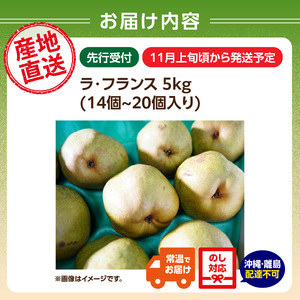 ≪先行受付≫ラ・フランス 5kg 14個～20個【2025年11月上旬～順次発送予定】 057-002