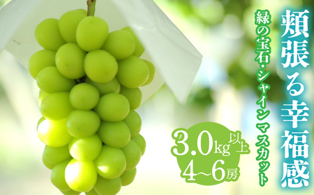 ＜2026年発送＞ シャインマスカット  3.0㎏以上 4～6房 ALPCV009 | シャインマスカット
