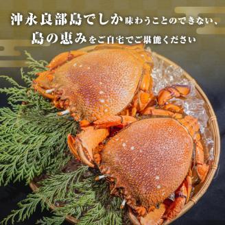 沖永良部島直送！素潜り漁師オススメの冷凍アサヒガニ1キロ（２～４杯）