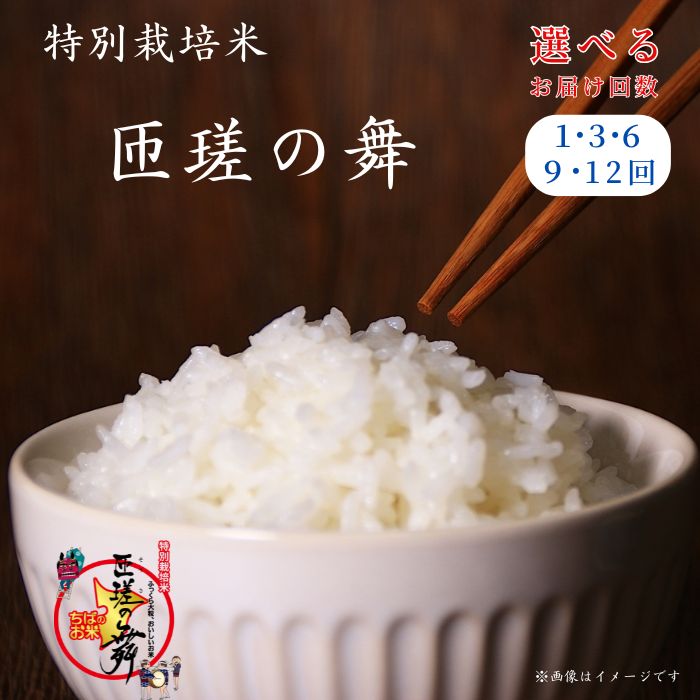 【ふるさと納税】 令和6年産 米 5kg 10kg 匝瑳の舞 ／ お米 コメ こめ 白米 精米 千葉県 特産品 送料無料 千葉県