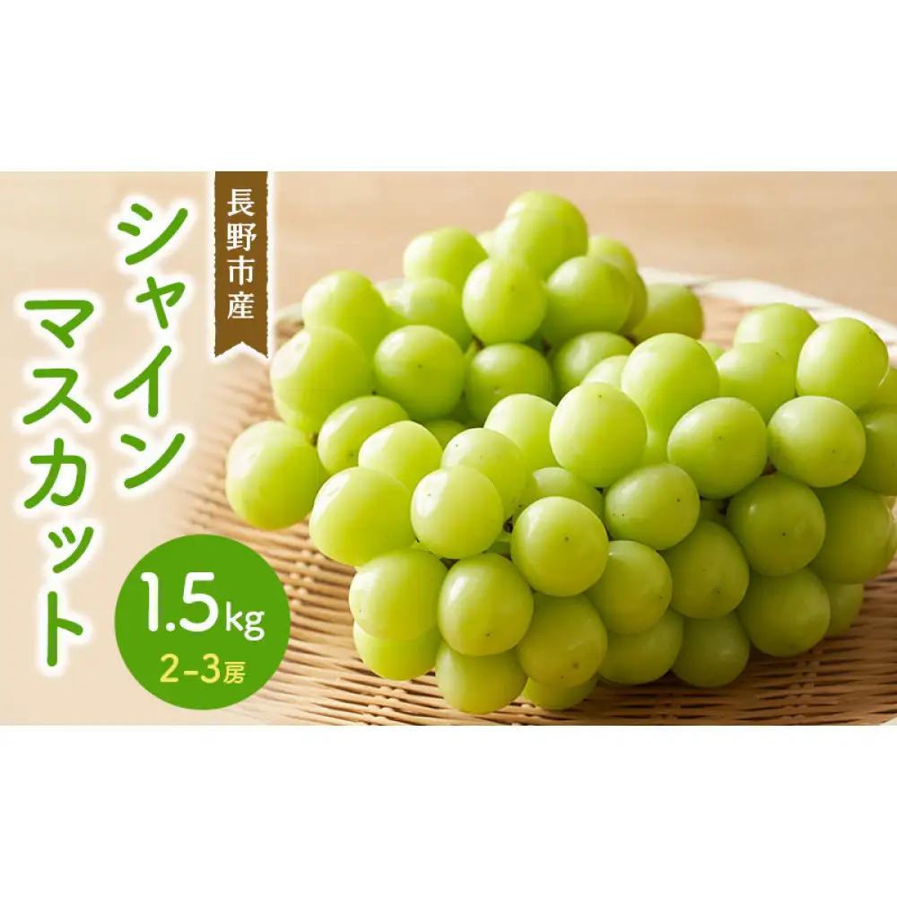 シャインマスカット 1.5kg 2-3房 |シャインマスカット