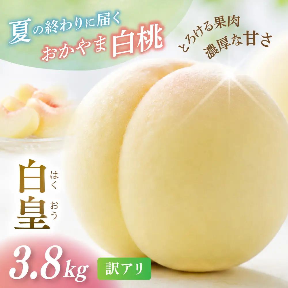 訳あり 桃 岡山県産訳あり白桃白皇3.8kg 【hnds008】