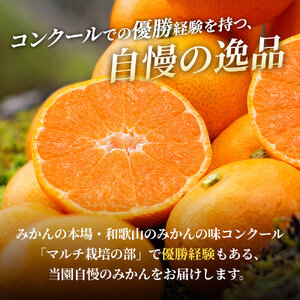 有田 みかん 特選 3kg 【 創業120年 農家直送 】 / 温州みかん 有田みかん 甘い 高級 和歌山 柑橘 ※2026年11月中旬～2027年1月下旬に順次発送 【isy004-r-3B】