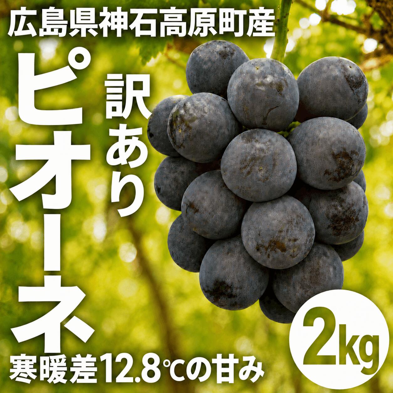 【ふるさと納税】訳あり ピオーネ 約2kg 選べる配送方法（常温 or チルド）《9月上旬-10月下旬出荷予定(土日祝除く)》広島県 神石高原町 果物 フルーツ ぶどう 訳あり 送料無料