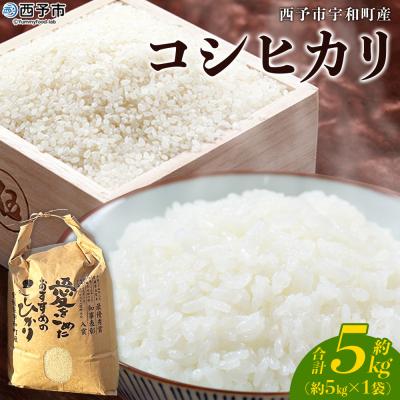 ふるさと納税 西予市 <令和7年産 西予市宇和町産 コシヒカリ 約5kg> お米