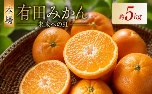 有田みかん「未来への虹」（5kg）(A973-2)