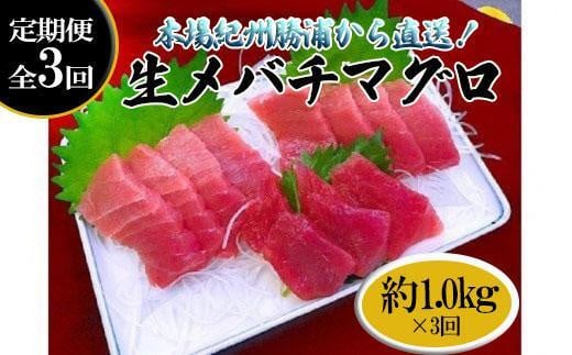 
【定期便全3回】生まぐろの本場紀州勝浦から直送！　生メバチマグロ 約1kg（1カ月に1回お届け）（全3ヵ月）
