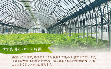 【先行予約】すず農園 オルフェメロン3玉 オルフェメロン メロン ハウスメロン デザート フルーツ 果物 旬 お盆 愛知県 田原市 渥美半島