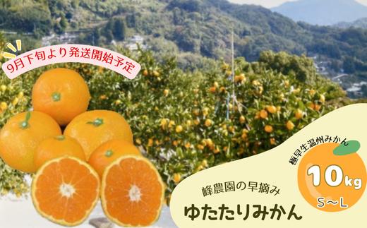 NB13x1 峰農園の早摘みゆたたりみかん 10kg 【2026年9月下旬-10月下旬発送予定】