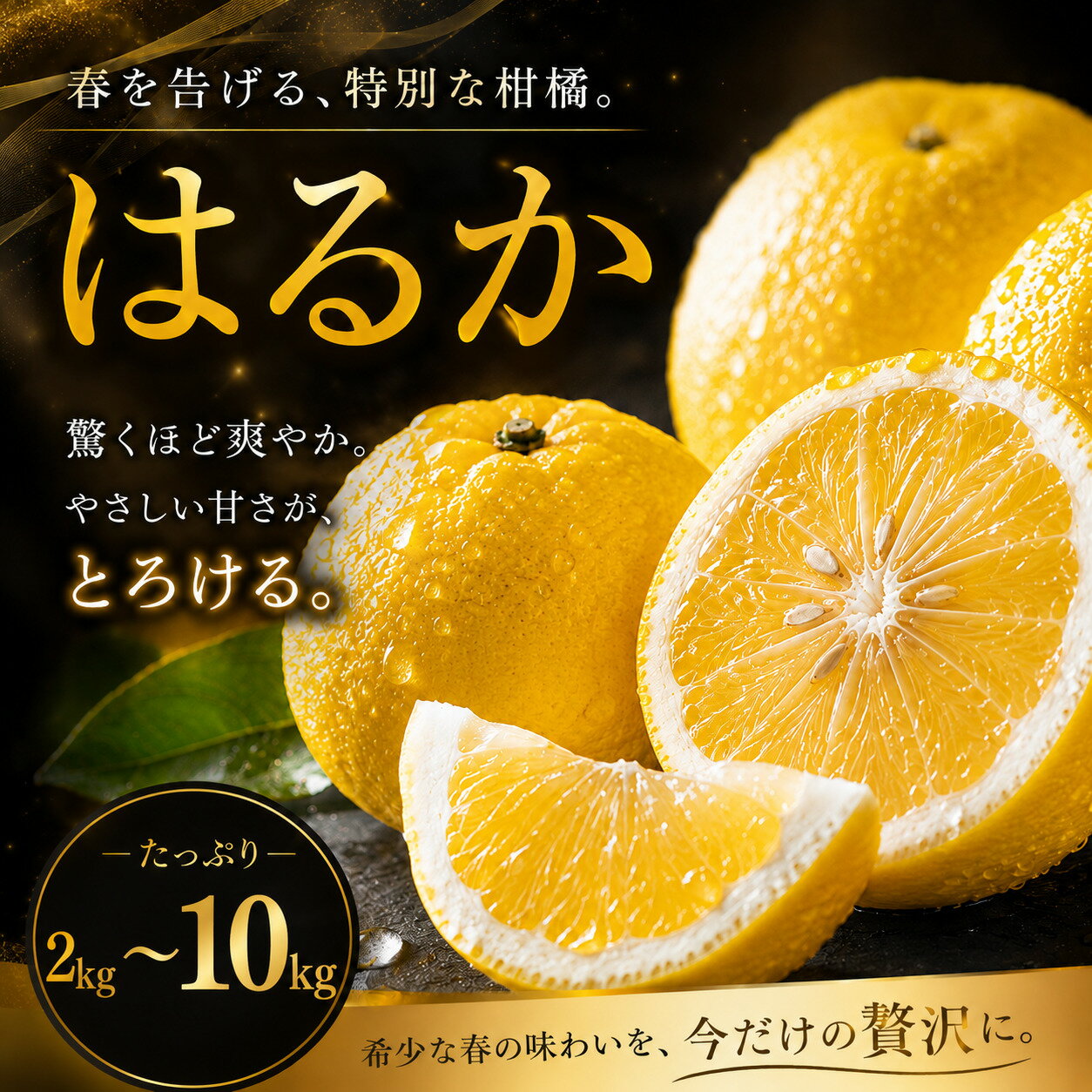 【ふるさと納税】 【選ぶならこれ】 酸味ほぼなし 【はるか】 2kg/3kg/5kg/10kg 愛媛県産 【2027年2月上旬頃から順次発送】 | みかん ミカン mikan 蜜柑 訳ありフルーツ 柑橘 果物 おすすめ お勧め お取り寄せ ギフト 愛媛県 松山市
