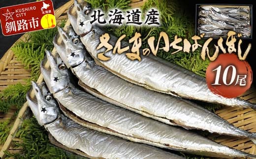 北海道産 さんま のいちばんぼし★ 10尾 冷蔵 干しさんま サンマ 秋刀魚 干物 北海道 海の幸 海鮮 F4F-2582