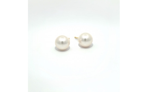 アコヤ真珠 スタッドピアス 7.5mm【1733522】