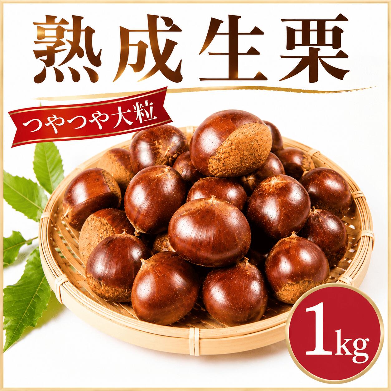 【ふるさと納税】 栗 約1kg 3L サイズ 生栗 熟成 大粒 つやつや 先行予約 2026年度産 秋 旬 味覚 産地直送 生ぐり なまぐり 和栗 わぐり 先行受付 秋の味覚 マロン 生くり くり 生ぐり 甘栗 焼き栗 ゆでぐり お正月 おせち 正月 栗きんとん 数量限定 令和8年度産 茨城県産