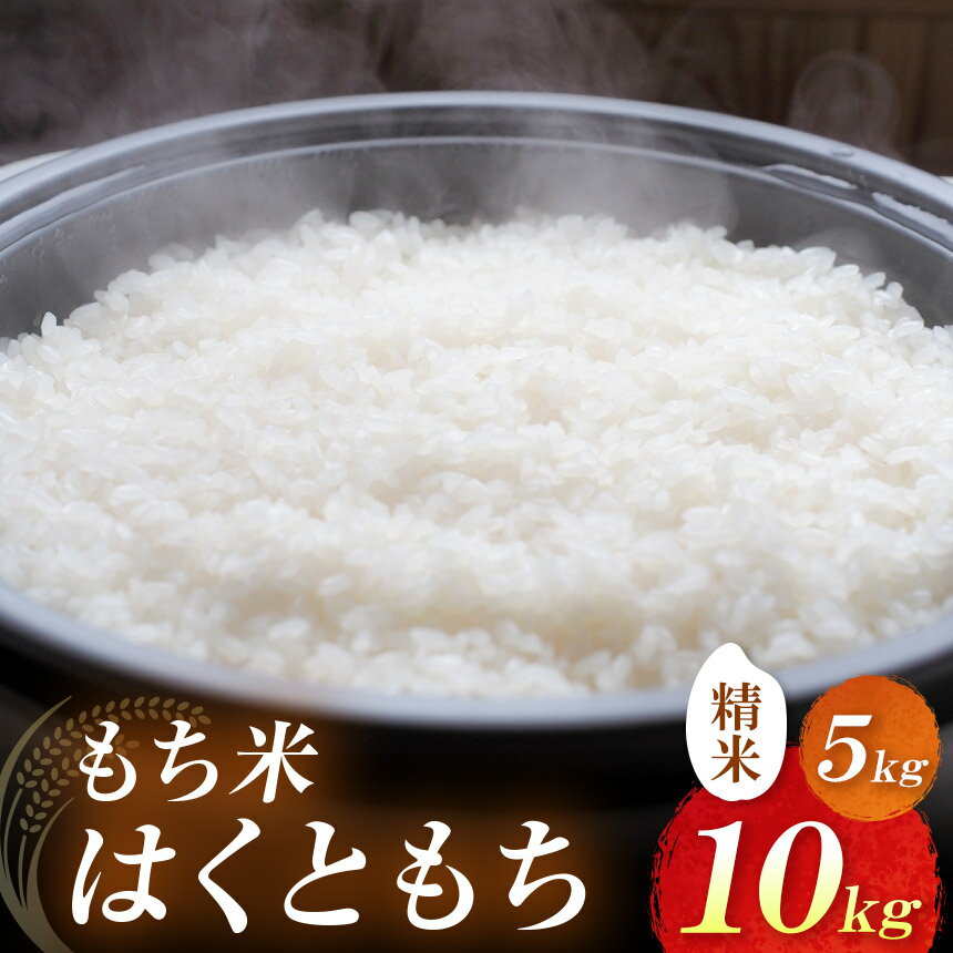 【ふるさと納税】耶馬渓産もち米 選べる 内容量 5kg / 10kg | お米 米 精米 おこめ こめ もち米 はくともち 餅 お餅 国産米 5キロ 10キロ 大分県産 九州産 大分県 中津市