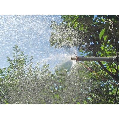 ふるさと納税 かつらぎ町 和歌山県産たねなし柿 約7.5kg 3Lまたは2Lサイズ・28個または32個入り |  | 02