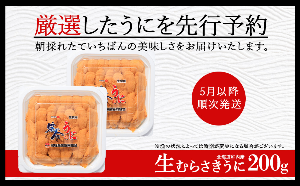 【うにの名産地稚内市】最北端の生むらさきうに2パック（100g×2）