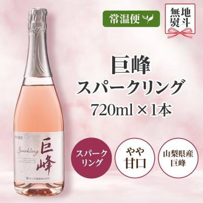 ふるさと納税 笛吹市 【無地熨斗】 巨峰スパークリング 720ml 1本 スパークリングワイン モンデ酒造 山梨県 笛吹市 |  | 03