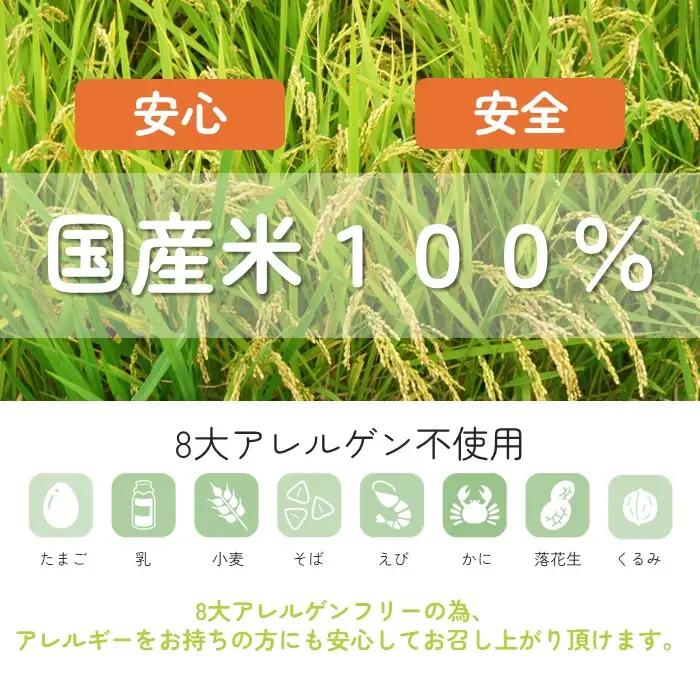 お米で作った簡単パンミックス（300g×10セット） No.496