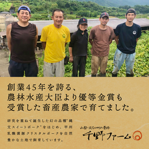 【奇数月全6回】肉の定期便