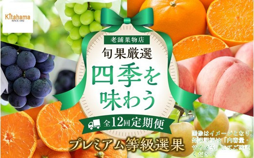 【定期便全12回】旬果厳選！四季を味わう単品定期便♪～プレミアム等級選果～ 372013_GM025