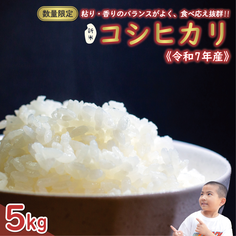 先行予約 新米 令和7年産 コシヒカリ 5kg 13000円 お米 白米 精米 米 こめ 産地直送 国産 農家直送 期間限定 数量限定 特産品 先行 事前 受付 令和7年度産 2025年産 もっちり 粘り 甘み おいしい おにぎり こしひかり 内祝い お祝い 贈答品 お返し プレゼント ギフト 土産 御礼 お礼 お取り寄せ えひめ南農業協同組合 愛南町 愛媛県
