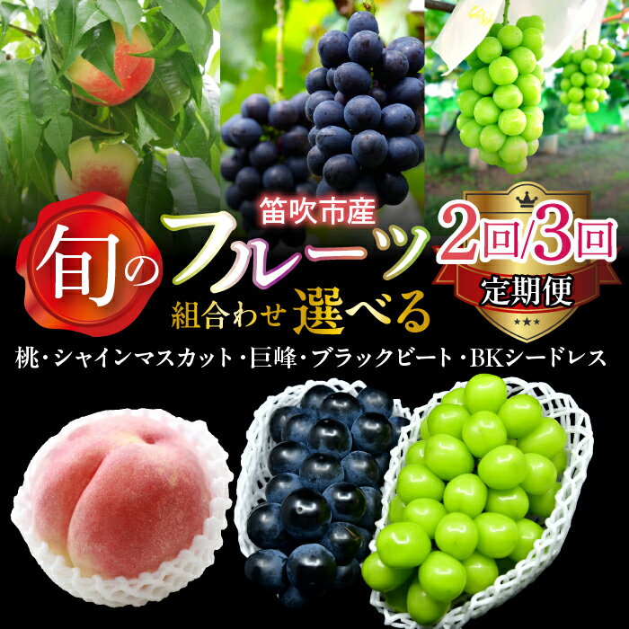 【ふるさと納税】【定期便】選べる定期 2回 3回 桃 巨峰 シャインマスカット ブラックビート BKシードレス ふるさと納税 ぶどう 葡萄 シャインマスカット 桃 笛吹市 国産 人気 期間限定 果物 フルーツ 旬 山梨県 送料無料 227-017
