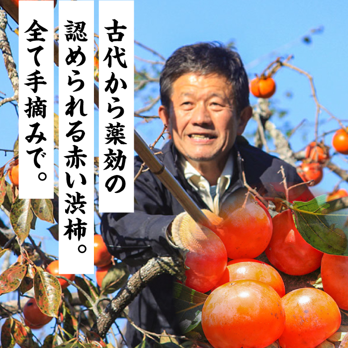 【業界誌（料理通信）お宝食材コンテスト ベスト20選出】天然 酵母 柿酢200ml 3本 / 南島原市 / 中邨 [SAG005]_イメージ5
