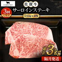 【ふるさと納税】【全3回定期便】【隔月発送】佐賀牛 サーロインステーキ 1.0kg（250g×4枚）【田中畜産牛肉店】 [HBH126]