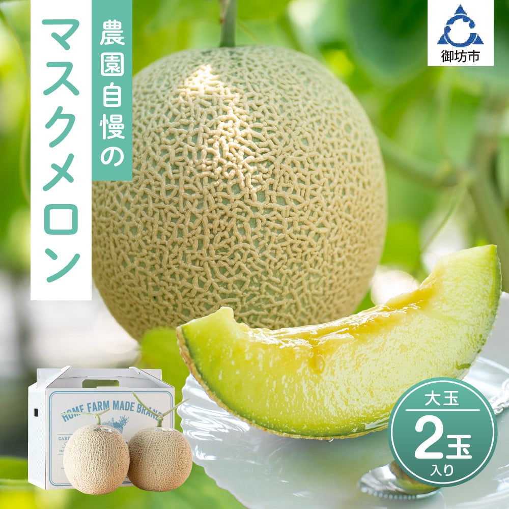
            農園自慢の『マスクメロン』(アールスメロン)大玉×2玉入り《先行予約》2026年6月下旬から順次発送【配送不可地域：北海道 ・青森・秋田・岩手・沖縄・離島】
          