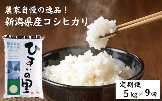 令和6年産新米予約【定期便】新潟県産コシヒカリ『ひすいの里』5kg×9ヶ月 計45kg 米・食味鑑定士お墨付き 精米したてを発送 農家自慢の特選米 糸魚川 白米 毎月配送 2024年産【米 お米 コメ ブランド米 ご飯 ライス ふるさと納税米 お弁当 おにぎり 5キロ 精米 食品 こしひかり こめ 食品 人気 おすすめ 新潟県 9回 9か月 先行予約】