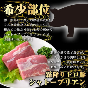 鹿児島県産 霜降り トロ豚 豚肉 希少部位 極み シャトーブリアン(600g)【KNOT】 A625